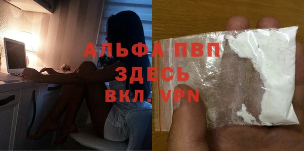 хмурый Алексин