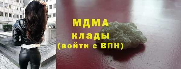 хмурый Алексин