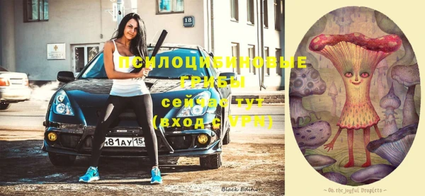 хмурый Алексин