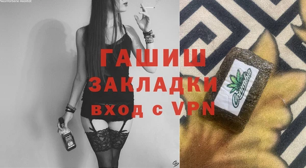 хмурый Алексин