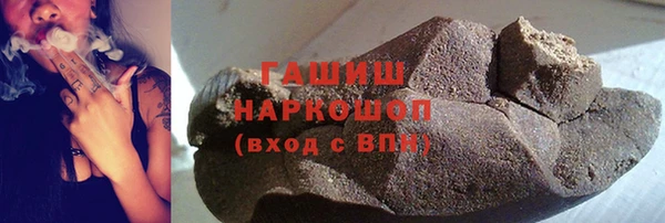 хмурый Алексин