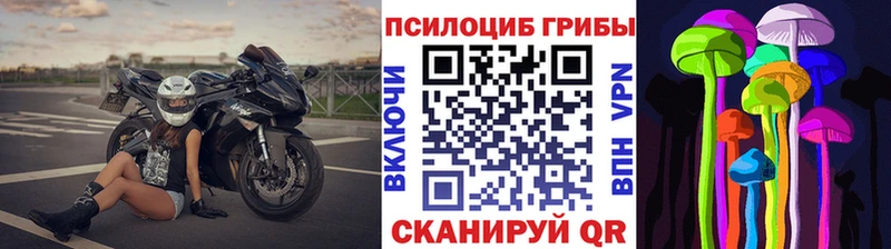 Галлюциногенные грибы мухоморы  купить наркотики сайты  Бабаево 